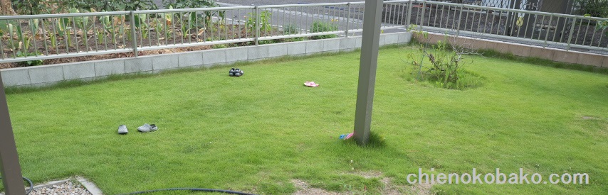 f:id:chienokobako:20150905201016j:plain