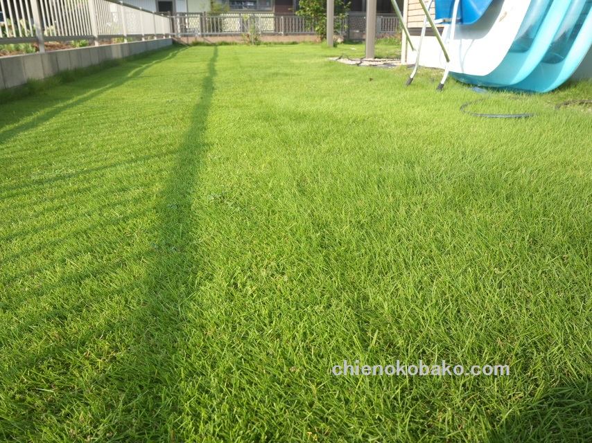 f:id:chienokobako:20150905201254j:plain