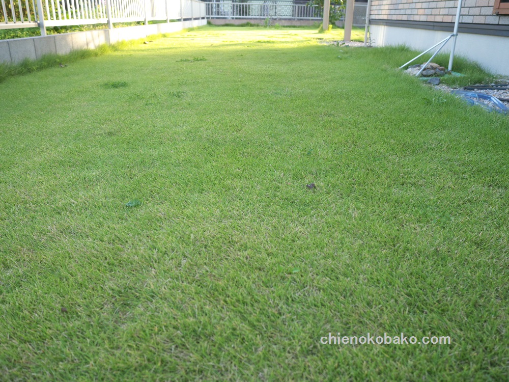 f:id:chienokobako:20151004200652j:plain f:id:chienokobako:20151004200652j:plain