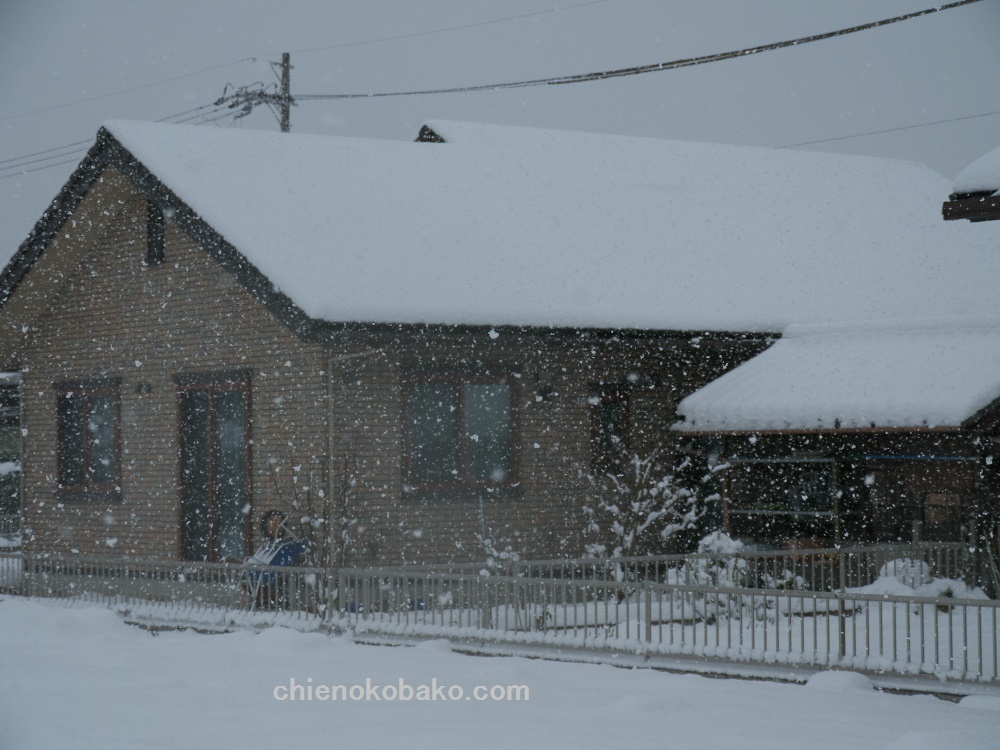 f:id:chienokobako:20160121204013j:plain f:id:chienokobako:20160121204013j:plain