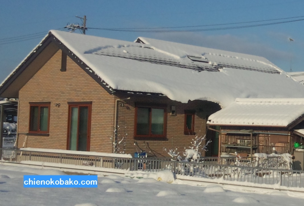 f:id:chienokobako:20160121204205j:plain f:id:chienokobako:20160121204205j:plain