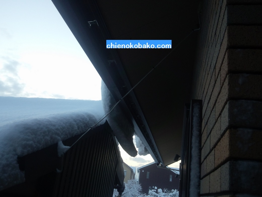 f:id:chienokobako:20160121204225j:plain f:id:chienokobako:20160121204225j:plain