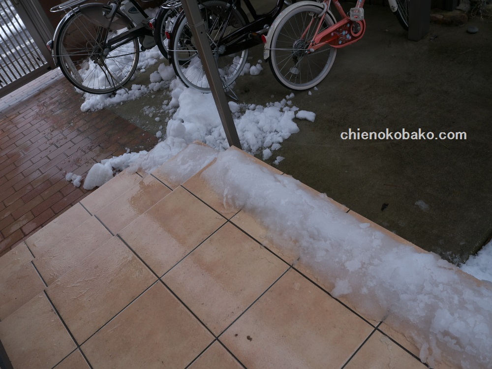 f:id:chienokobako:20160121204508j:plain f:id:chienokobako:20160121204508j:plain