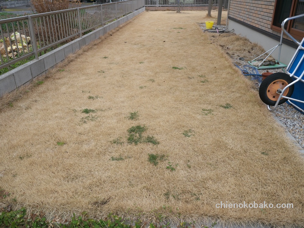 f:id:chienokobako:20160227174522j:plain f:id:chienokobako:20160227174522j:plain