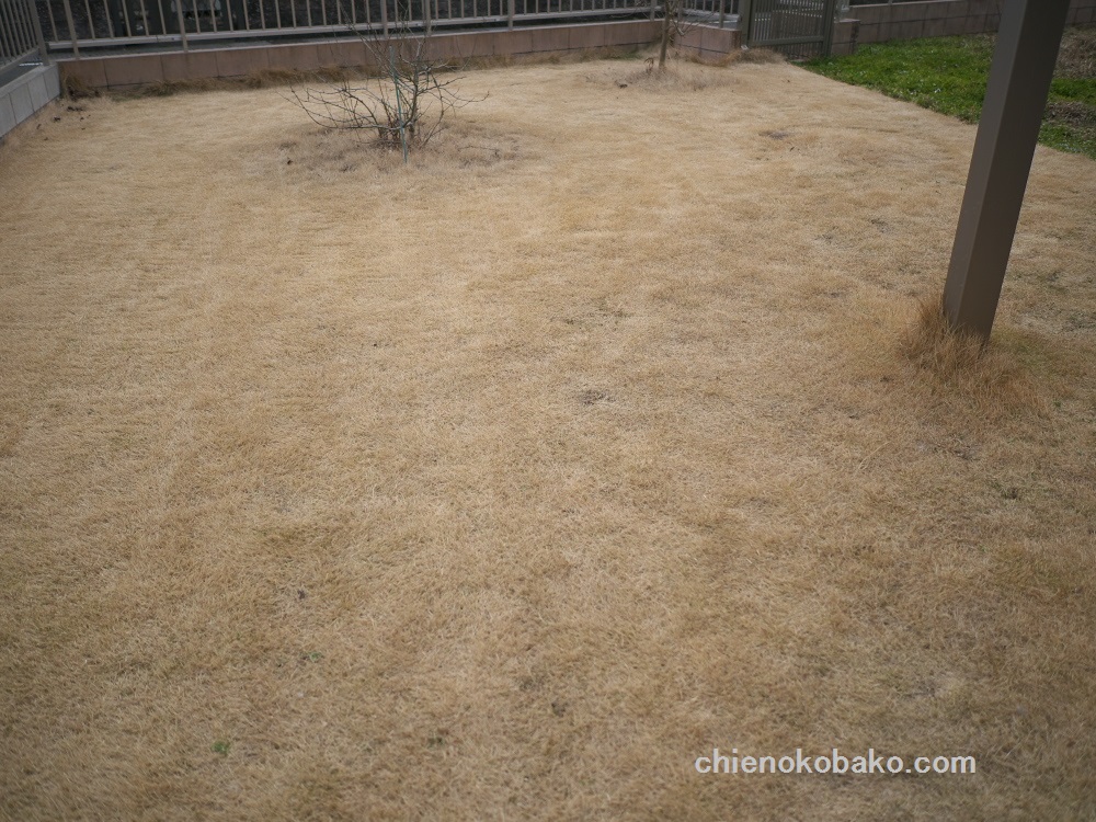 f:id:chienokobako:20160227174607j:plain f:id:chienokobako:20160227174607j:plain