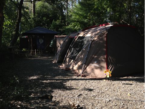 f:id:chieryu-papa:20131015073611j:image