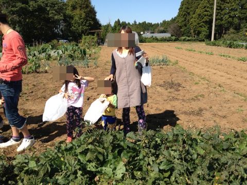 f:id:chieryu-papa:20131018073041j:image