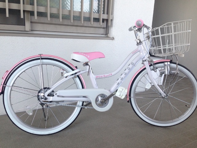 f:id:chieryu-papa:20140301111311j:plain f:id:chieryu-papa:20140301111311j:plain
