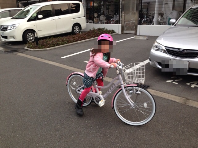 f:id:chieryu-papa:20140301111453j:plain f:id:chieryu-papa:20140301111453j:plain