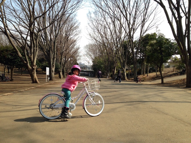 f:id:chieryu-papa:20140310072943j:plain f:id:chieryu-papa:20140310072943j:plain