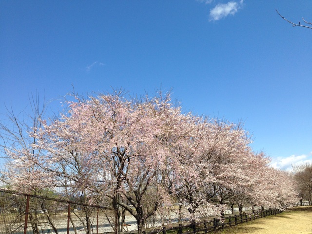 f:id:chieryu-papa:20140408073913j:plain f:id:chieryu-papa:20140408073913j:plain