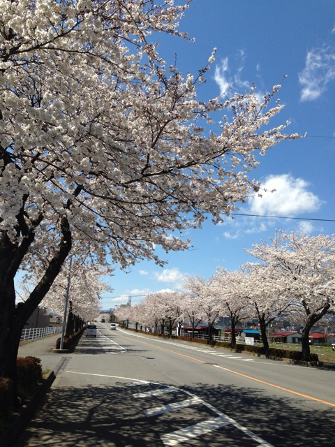 f:id:chieryu-papa:20140409010218j:plain f:id:chieryu-papa:20140409010218j:plain