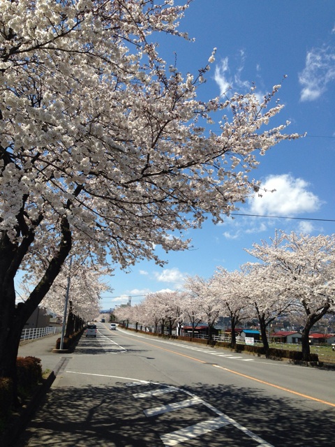 f:id:chieryu-papa:20140409010218j:plain