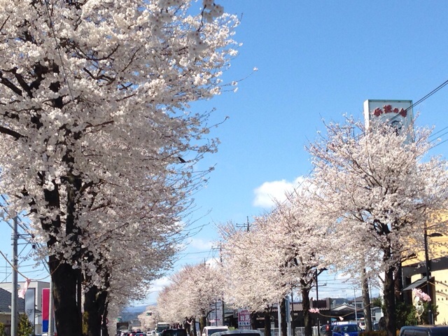 f:id:chieryu-papa:20140612224539j:plain f:id:chieryu-papa:20140612224539j:plain