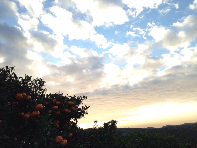 f:id:chieryu-papa:20141126235407j:plain f:id:chieryu-papa:20141126235407j:plain