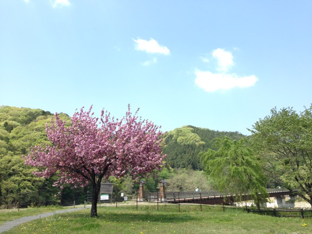 f:id:chieryu-papa:20150505100947j:plain f:id:chieryu-papa:20150505100947j:plain