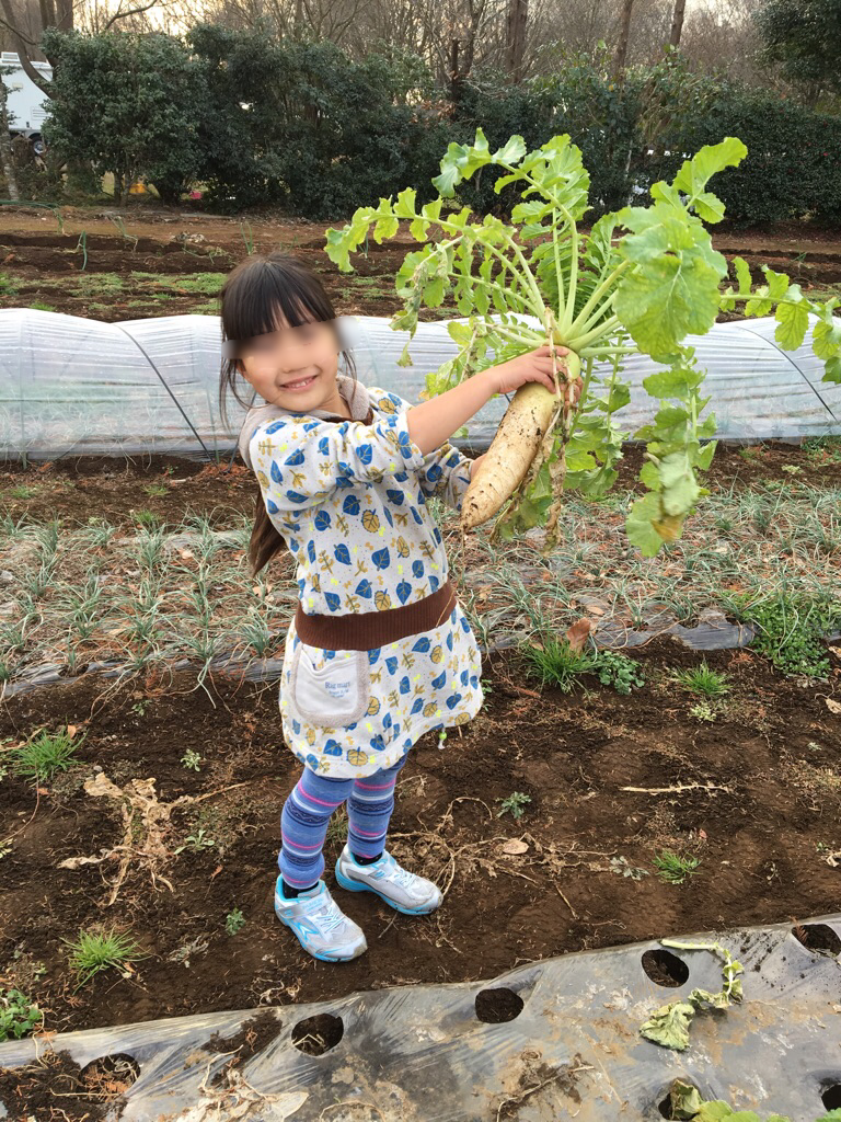 f:id:chieryu-papa:20160108064735p:image f:id:chieryu-papa:20160108064735p:image