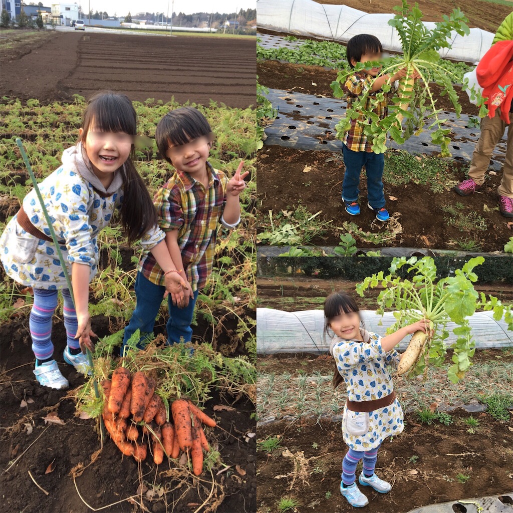 f:id:chieryu-papa:20160108064836j:image f:id:chieryu-papa:20160108064836j:image