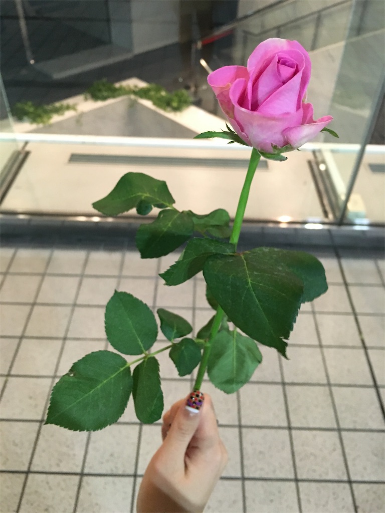 f:id:chihay:20151013214241j:image f:id:chihay:20151013214241j:image