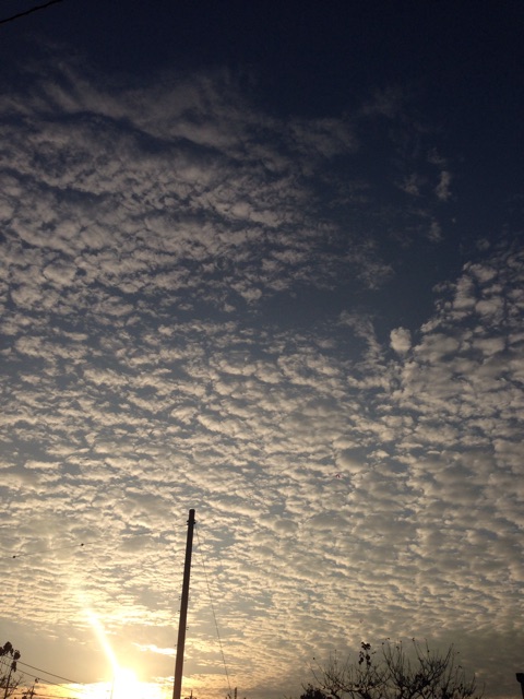 f:id:chihiro9:20141127010727j:plain f:id:chihiro9:20141127010727j:plain