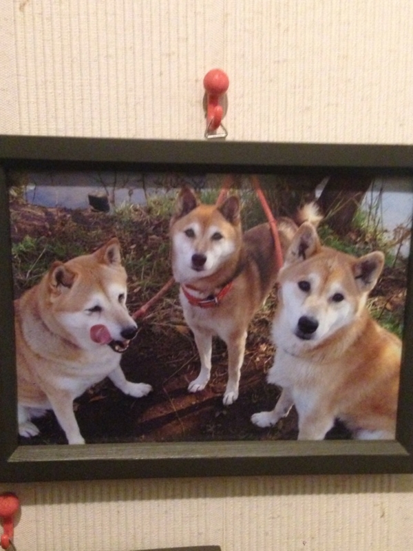 f:id:chihiro9:20150126181736j:plain f:id:chihiro9:20150126181736j:plain