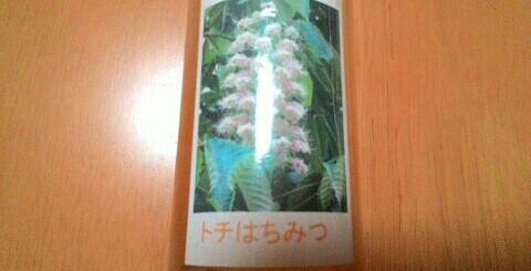 f:id:chiichii5116:20160603194149j:image f:id:chiichii5116:20160603194149j:image