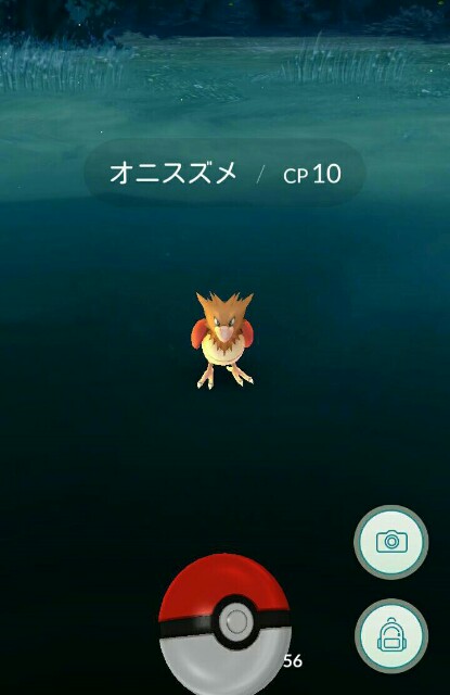 f:id:chiichii5116:20160722230018j:image f:id:chiichii5116:20160722230018j:image