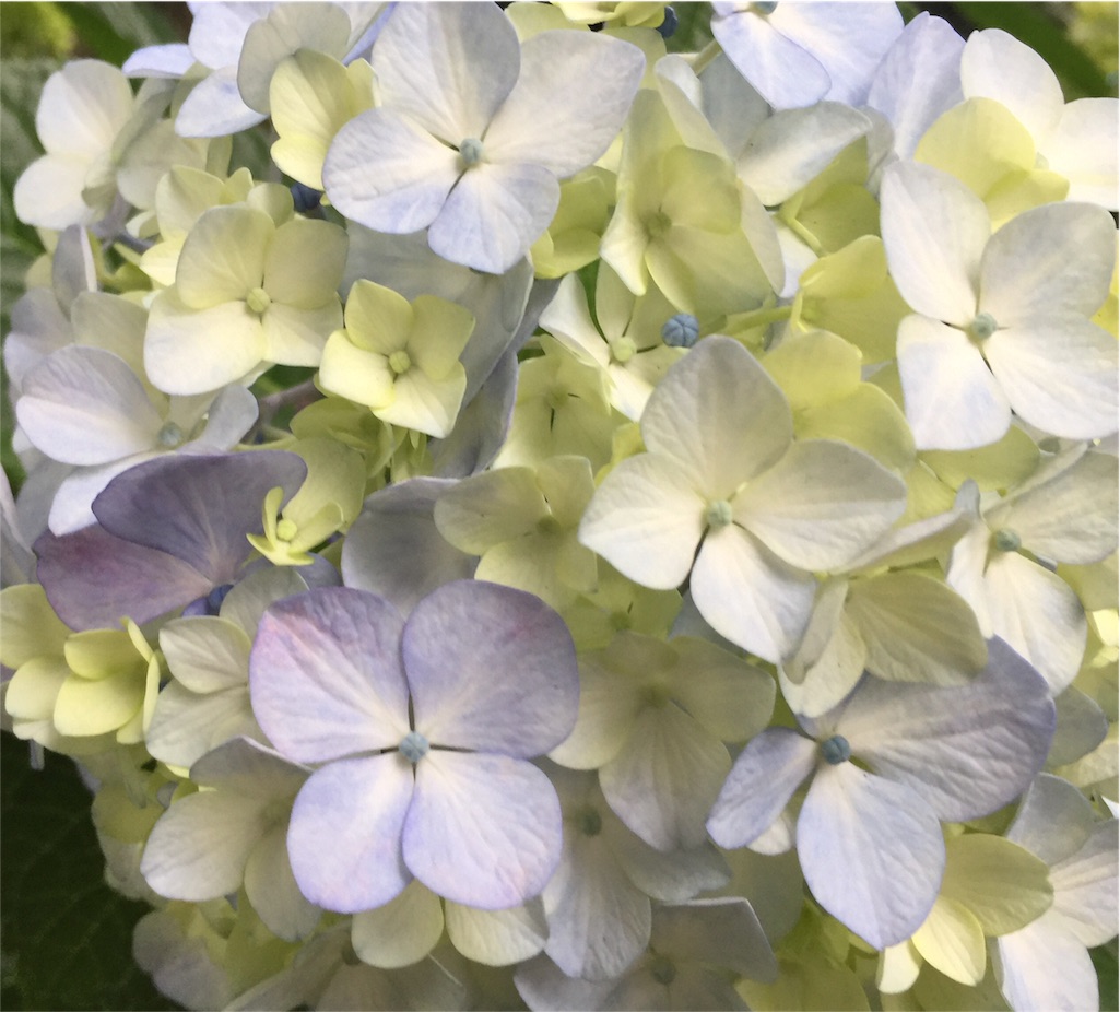 f:id:chiidax:20160604203748j:image f:id:chiidax:20160604203748j:image