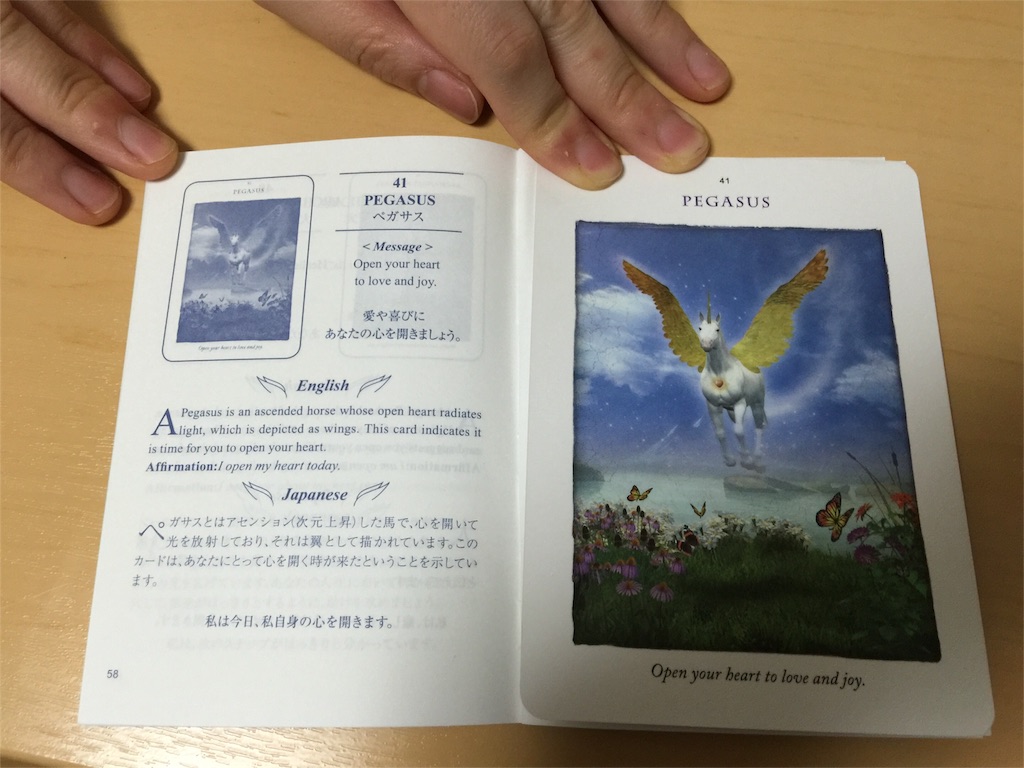 f:id:chikako1115:20160102132656j:image f:id:chikako1115:20160102132656j:image