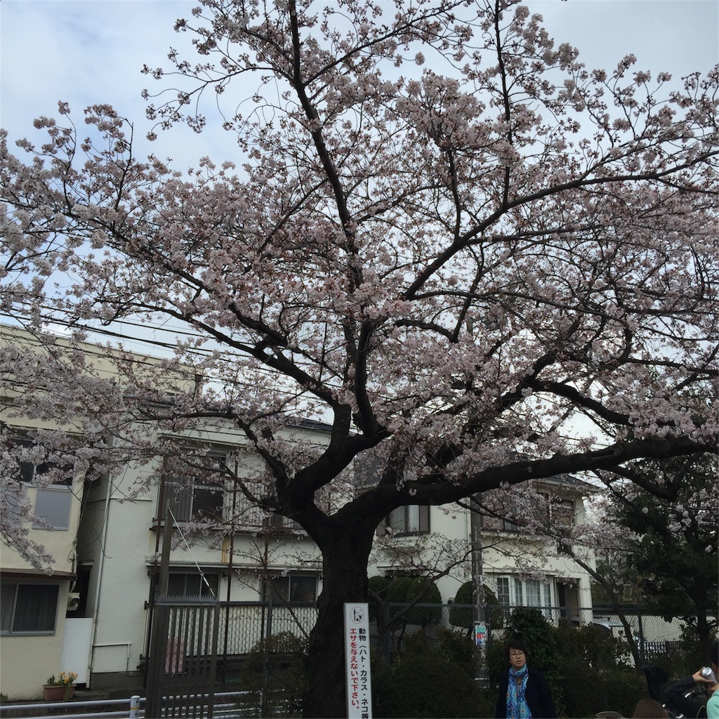 f:id:chikako1115:20160401202923j:image f:id:chikako1115:20160401202923j:image