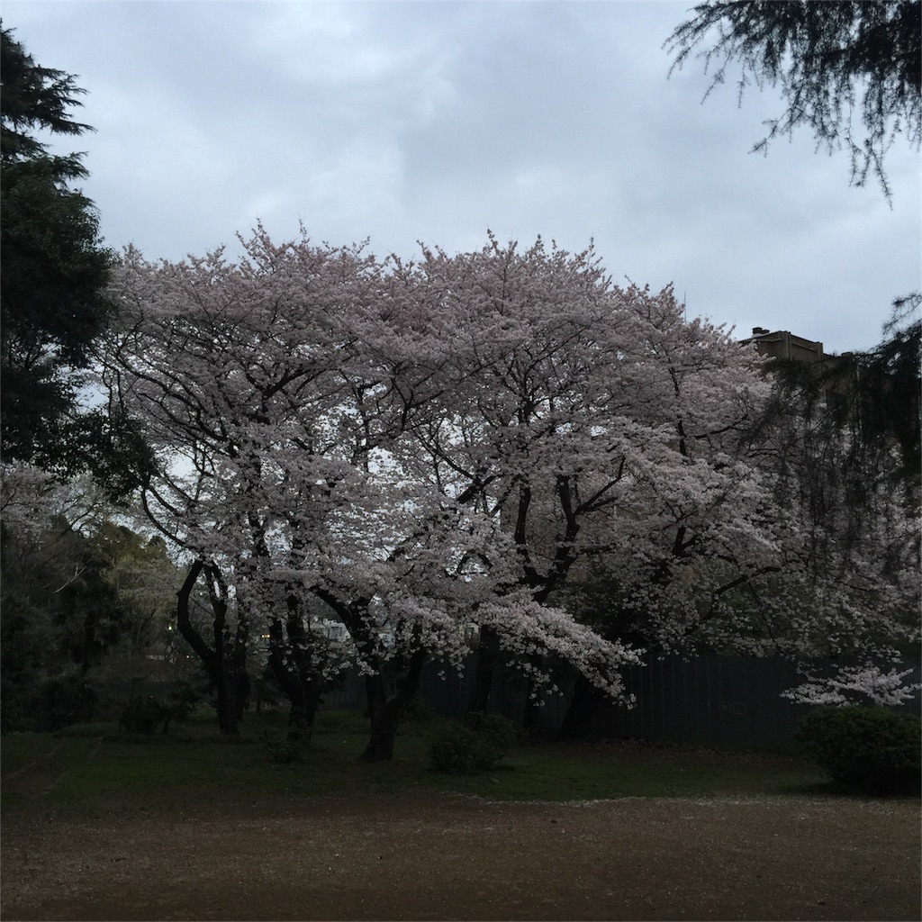 f:id:chikako1115:20160401202940j:image f:id:chikako1115:20160401202940j:image