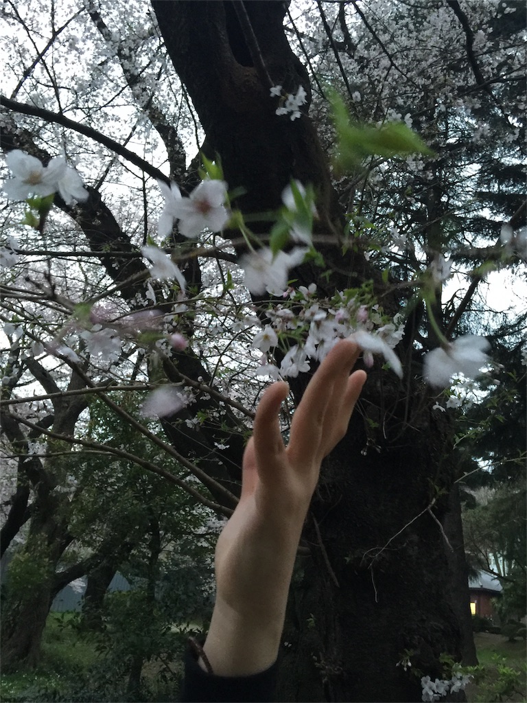 f:id:chikako1115:20160401203056j:image f:id:chikako1115:20160401203056j:image