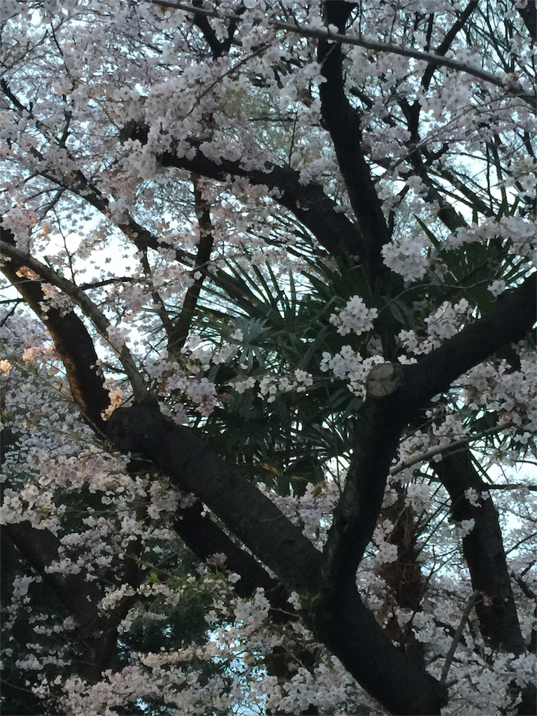 f:id:chikako1115:20160401203142j:image f:id:chikako1115:20160401203142j:image