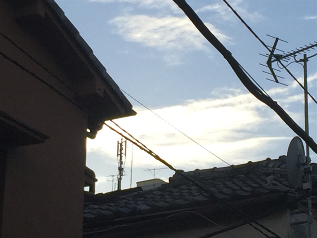 f:id:chikako1115:20160731181147j:image f:id:chikako1115:20160731181147j:image