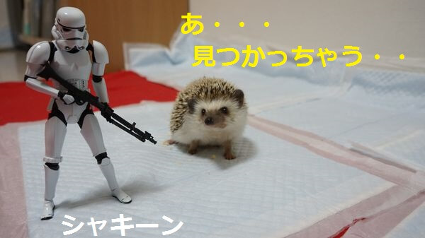 f:id:chikojirou:20150421183356j:plain f:id:chikojirou:20150421183356j:plain
