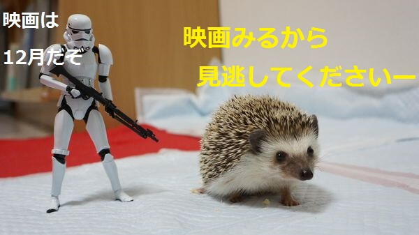 f:id:chikojirou:20150421183849j:plain f:id:chikojirou:20150421183849j:plain