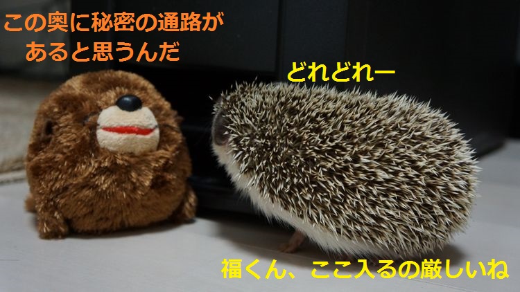 f:id:chikojirou:20150430144455j:plain f:id:chikojirou:20150430144455j:plain