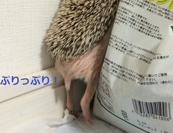 f:id:chikojirou:20150513214649p:plain f:id:chikojirou:20150513214649p:plain