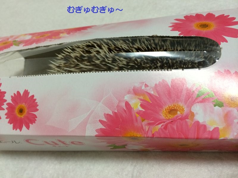 f:id:chikojirou:20150705115312j:plain f:id:chikojirou:20150705115312j:plain