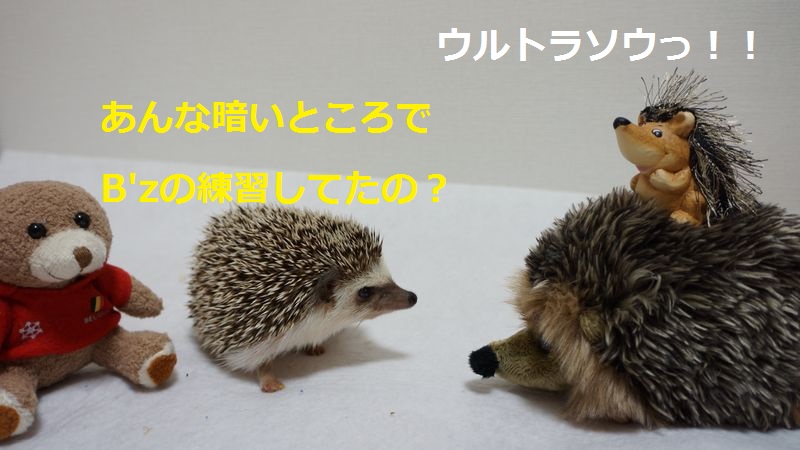 f:id:chikojirou:20150813214644j:plain