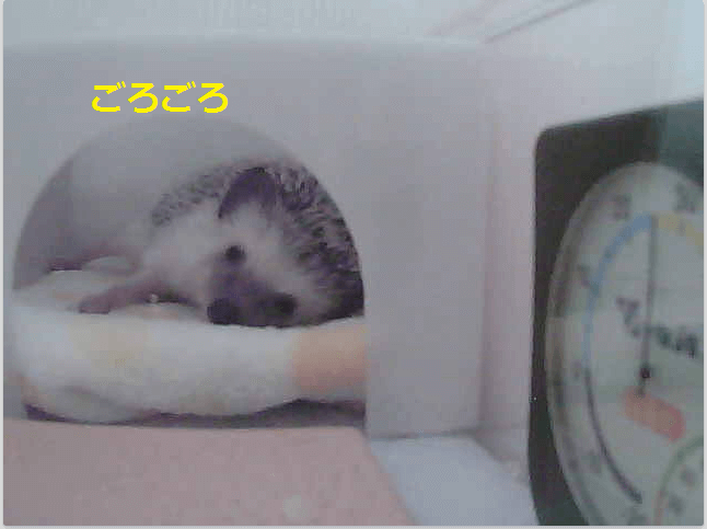 f:id:chikojirou:20150920212436p:plain