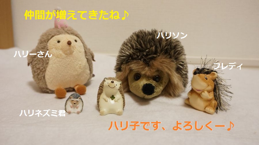 f:id:chikojirou:20151005215441j:plain f:id:chikojirou:20151005215441j:plain