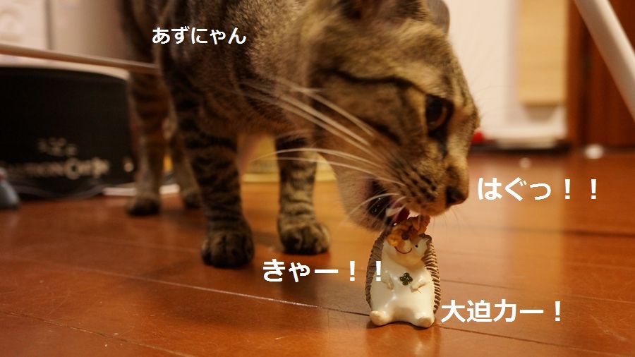 f:id:chikojirou:20151005215542j:plain f:id:chikojirou:20151005215542j:plain