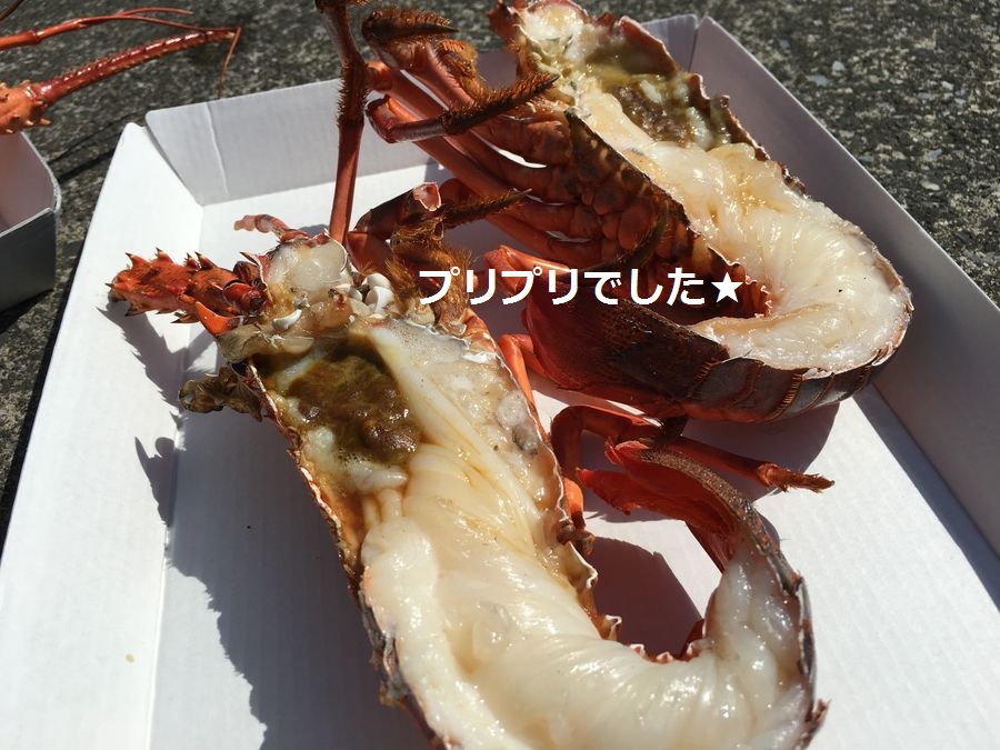 f:id:chikojirou:20151005215647j:plain f:id:chikojirou:20151005215647j:plain