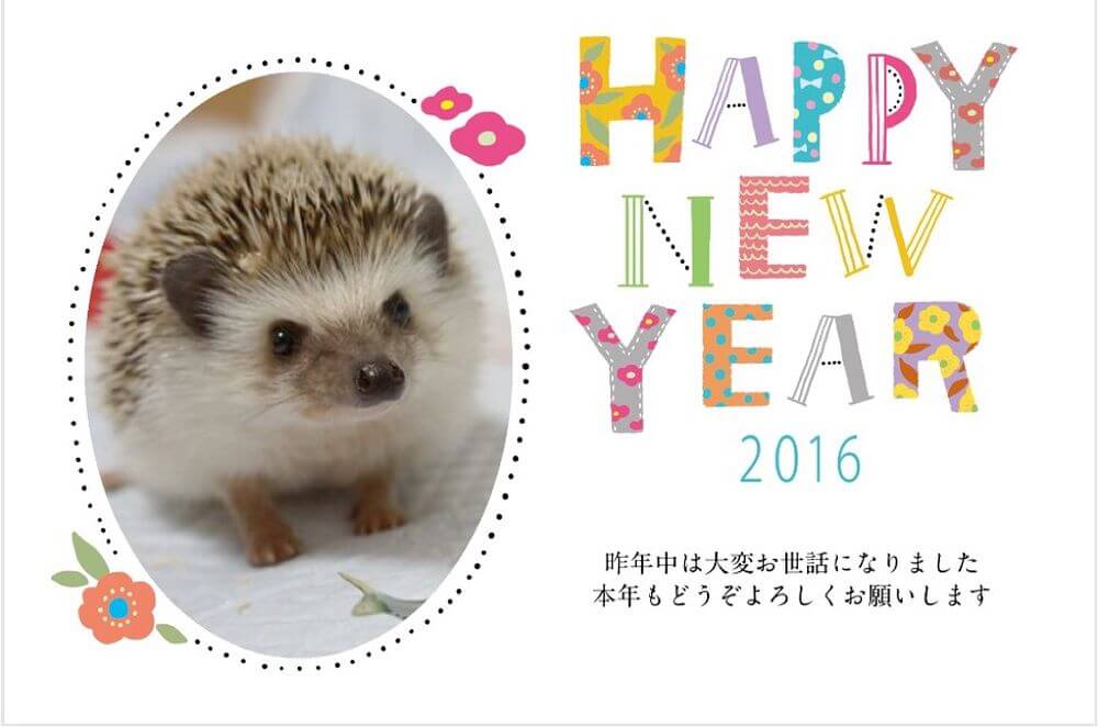f:id:chikojirou:20160101214837j:plain f:id:chikojirou:20160101214837j:plain
