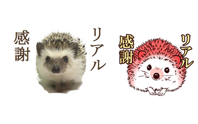 f:id:chikojirou:20160119212022j:plain f:id:chikojirou:20160119212022j:plain
