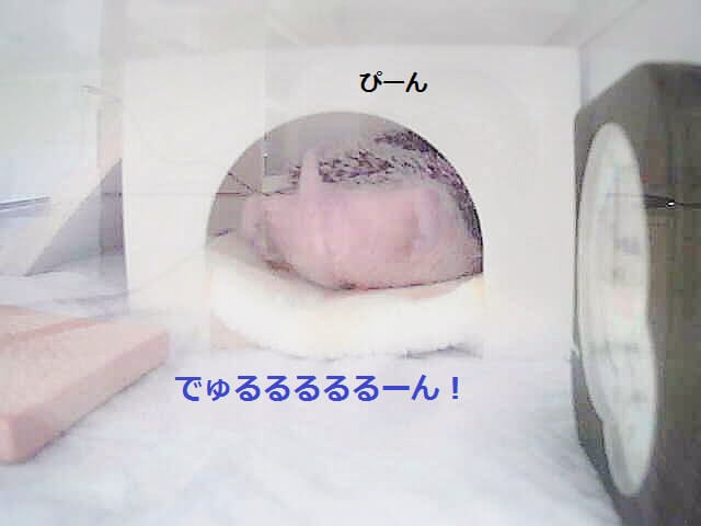f:id:chikojirou:20160221204540j:plain f:id:chikojirou:20160221204540j:plain