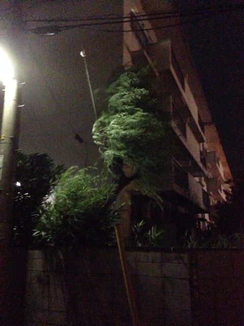 f:id:chikori730:20140901190801j:plain f:id:chikori730:20140901190801j:plain