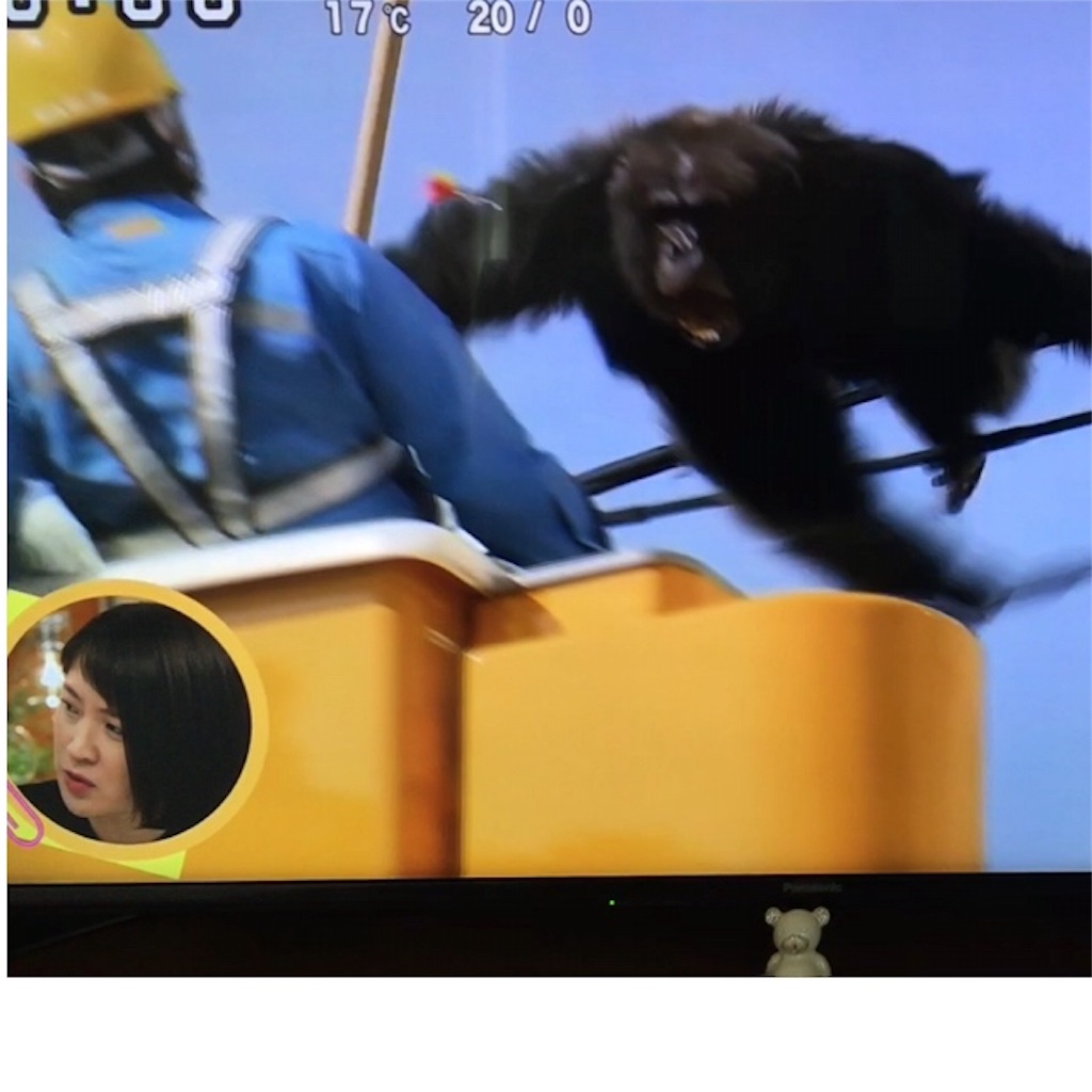 f:id:chikundayo777:20160415095202j:image f:id:chikundayo777:20160415095202j:image