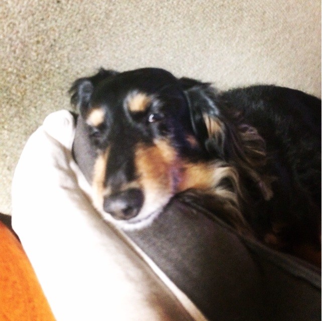 f:id:chikuwansai:20140411102237j:plain f:id:chikuwansai:20140411102237j:plain